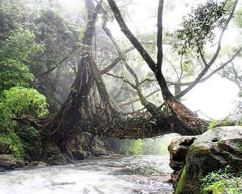 Cherrapunji