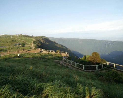 eco park